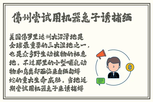 中国XXXXXLMEDJY免费